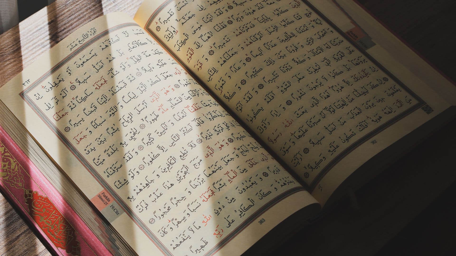 An open Qur'an in warm sunlight